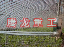 大棚花卉供暖設(shè)備、大棚卉采暖設(shè)備、大棚花卉取暖設(shè)備