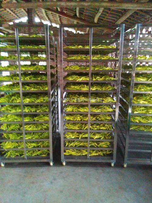 黃花菜烘干機(jī)、黃花菜烘干設(shè)備、黃花菜干燥機(jī)、黃花菜干燥設(shè)備、